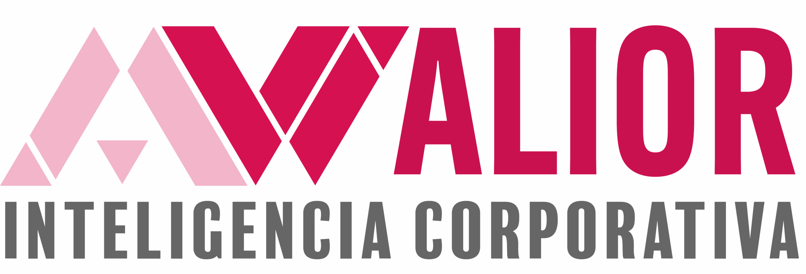 Valior Inteligencia comercial
